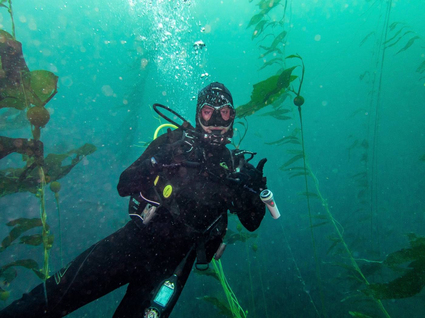 Nate, Dive Master · EMT · U.S. Coast Guard veteran