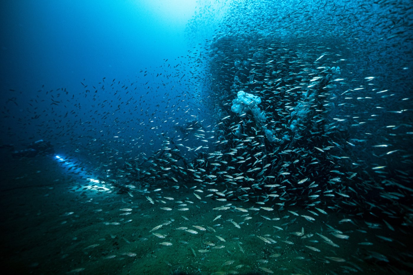 A school of baitfish fills the water over the Missile Tower, a diver's light inside it
