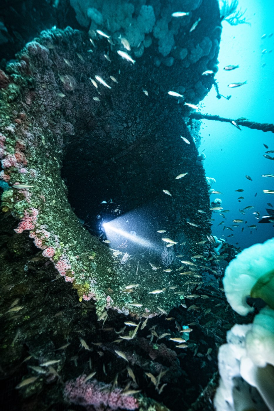 Inside the Missile Tower's central tube, about ten feet across, a diver's light at the far end