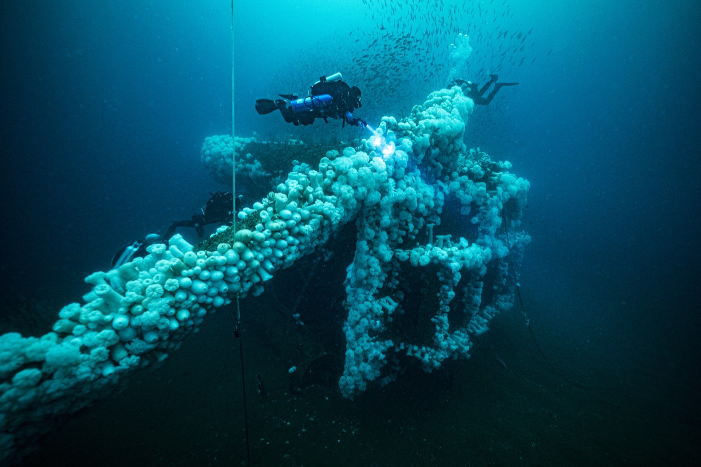 A diver crosses above a Metridium-covered leg of the Missile Tower