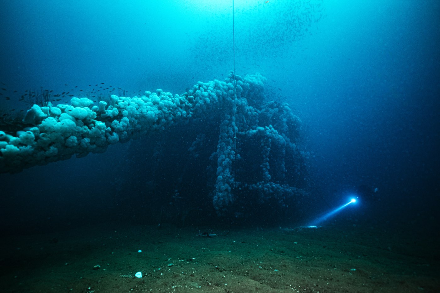 The Missile Tower lying on its side in 165 feet of water, one leg carpeted in Metridium anemones, the descent line beside it