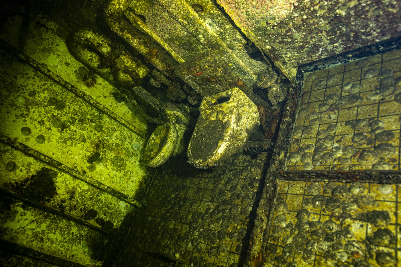 The aft head, its toilets fixed to what is now a wall, tiled deck standing on edge beside them