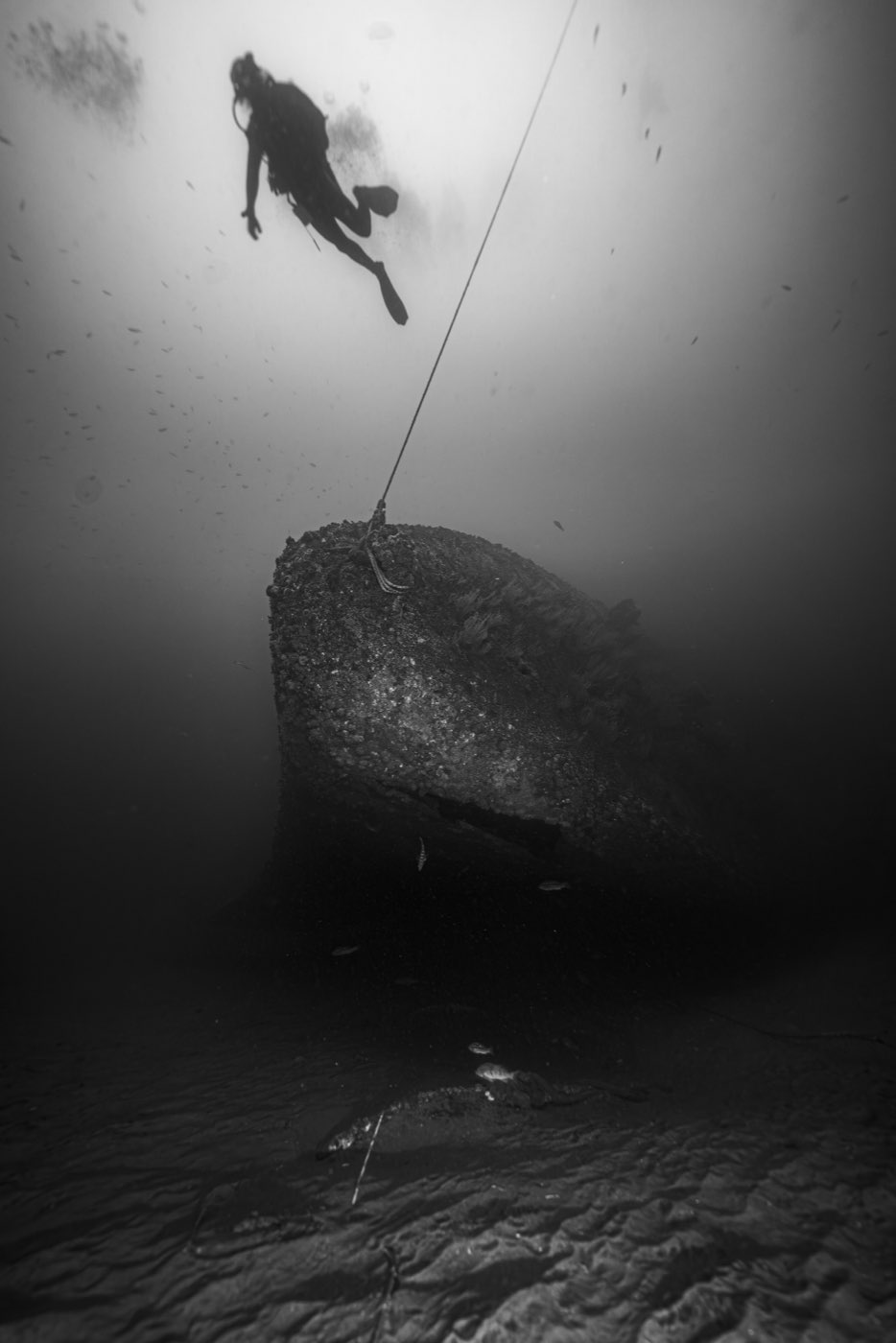 A diver descending the line to the Yukon's bow, the hull looming out of the gloom below