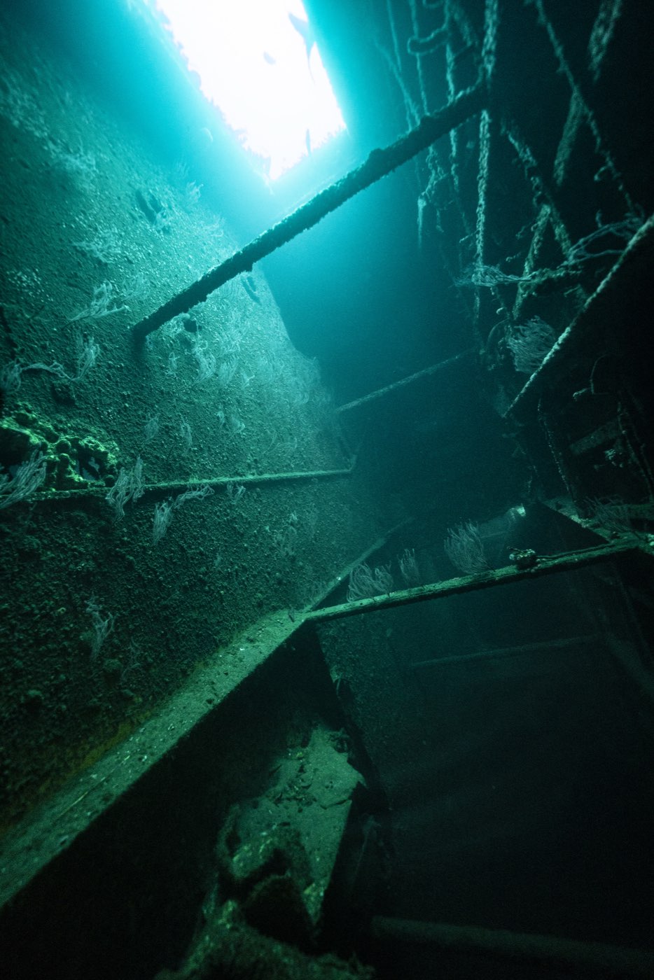 Daylight falling through a cut opening into Burma Road, the passage turned into a vertical shaft by the ship's roll