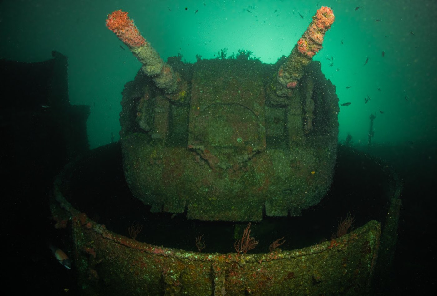 The Yukon's twin gun mount, encrusted after two decades on the bottom, barrels still trained forward
