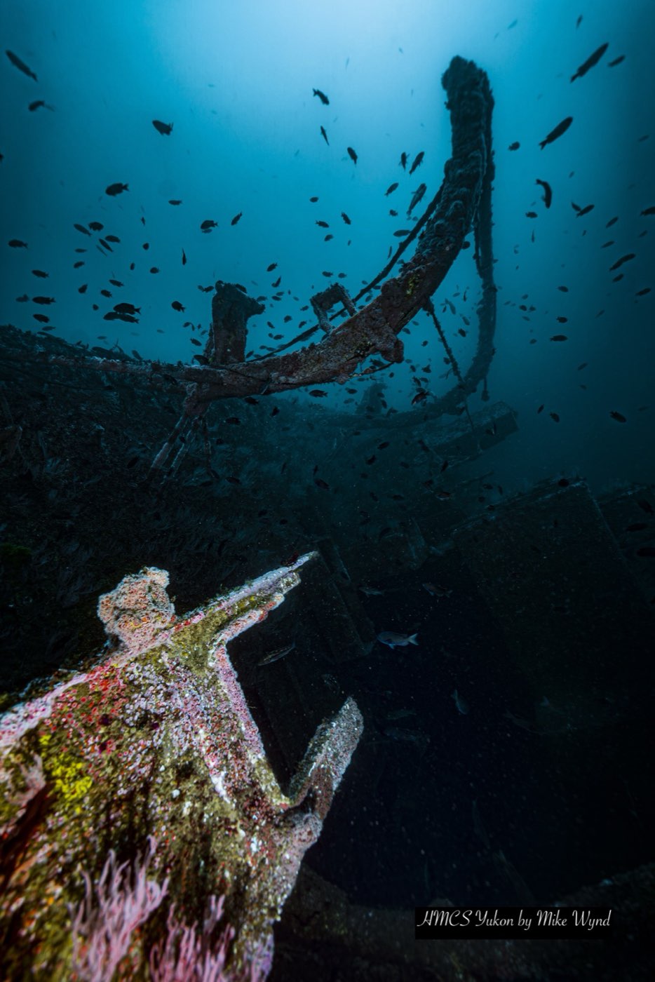 A boat davit on the Yukon's starboard side, now the shallow side of the wreck, with fish holding in the blue